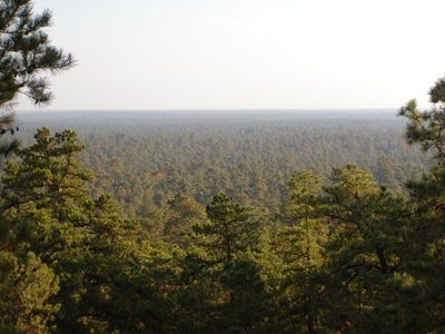 View from Apple Pie Hill fire tower